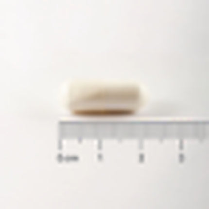 Supliment Lamberts, L-Glutamina 500mg, 90 capsule