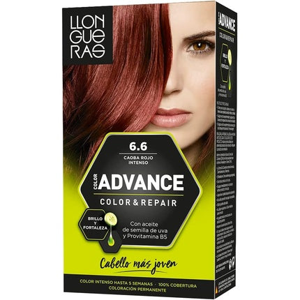 Accesoriu colorare păr, Llongueras, 155ml