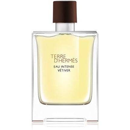 Parfum barbatesc, Hermès Terre D'hermes Eau Intense Vetiver, 100ml