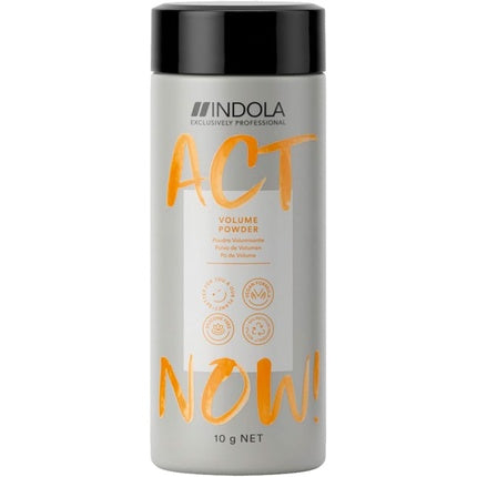 Pudră Volum, Indola, Act Now, 10g, gri