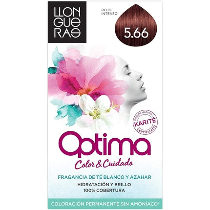Accesorii colorare păr, Llongueras, 130g