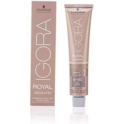 Vopsea permanentă, Schwarzkopf Igora Royal, castaniu ciocolatiu, 60ml