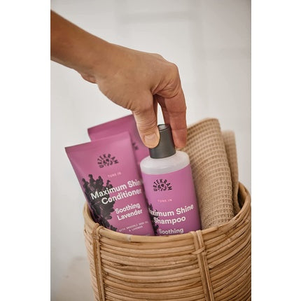 Șampon organic, Urtekram, lavandă, 815g