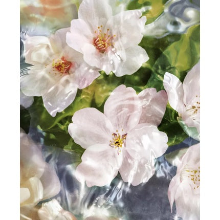 Eau de Toilette Guerlain Aqua Allegoria Flora Cherrysia, 125ml