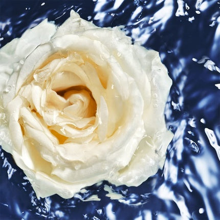 Apa de colonie pentru femei, Davidoff Cool Water Oceanic Edition, 100 ml