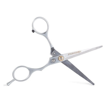 Foarfece coafură, Markenlos, Vario Plus, argintiu