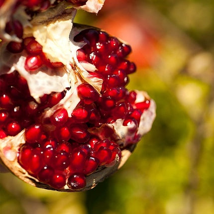 Deodorant roll-on, Weleda, Pomegranate, 50ml