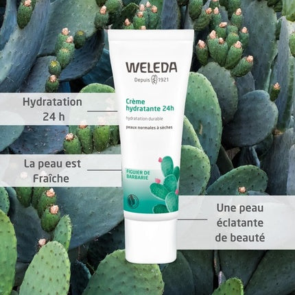 Cremă de zi, Weleda, Prickly Pear Cactus, verde, 30ml