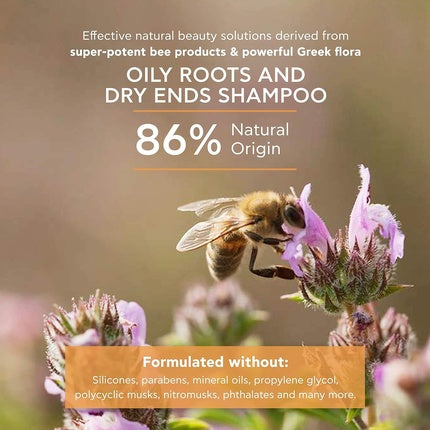 Șampon pentru Rădăcini Grase și Vârfuri Uscate, Apivita, 250ml