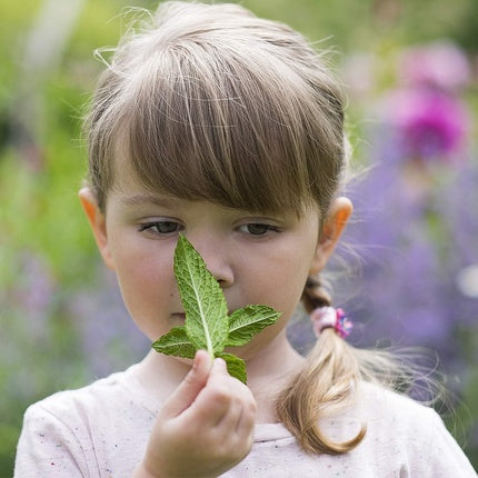Șampon și Gel de Duș Copii, Weleda, Mentă Fresh, 150ml