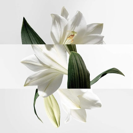 Apa de toaleta, Hermès, Un Jardin Sur La Lagune, 30ml