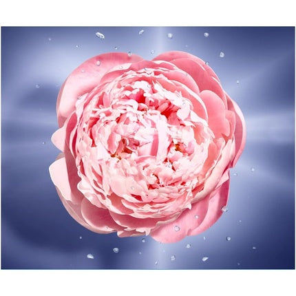 Apa de Toaleta, Lancôme, La Vie Est Belle En Rose, 50ml