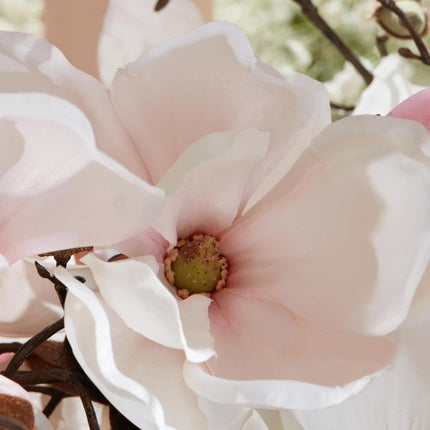 Parfum femei, DKNY, Be Delicious, 30 ml