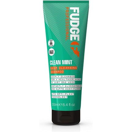 Șampon Fudge, Clean Mint, 250ml
