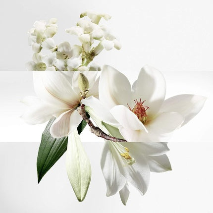 Parfum Hermès Un Jardin sur la Lagune 100ml