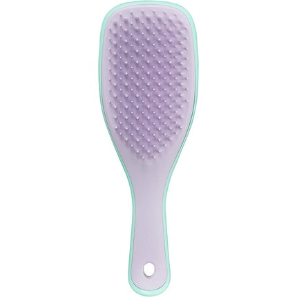 Perie păr, Tangle Teezer, The Wet Detangler Mini, wisteria