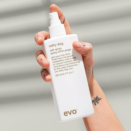 Spray Texturizant și Volum Evo Salty Dog, 200ml