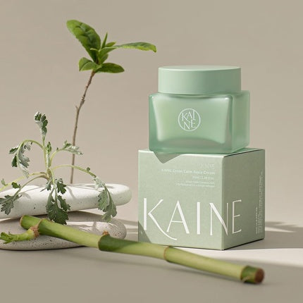 Crema zilnică matizată Kaine Green Calm Aqua Cream 70ml 2.36 Fl.Oz