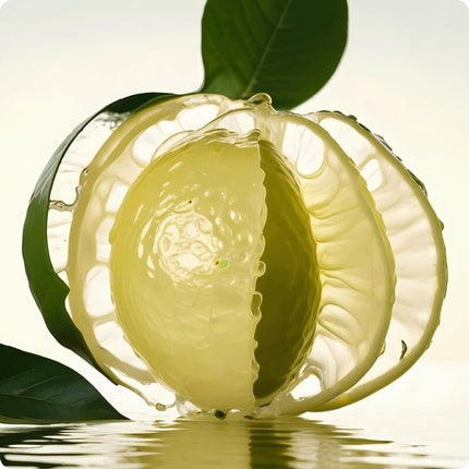Eau De Toilette, Iceberg, Italian Bergamot, 100ml, Sticlă Pătrată