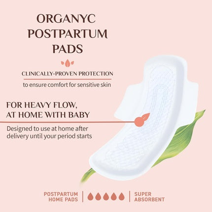 Organyk Paduri Sanitare Large, Bumbac Organic Certificat, Pentru Zile cu Scurgere Medie