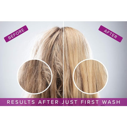 Șampon și Conditioner No Yellow Purple pentru păr blond, gri și cu balayage, 500 ml