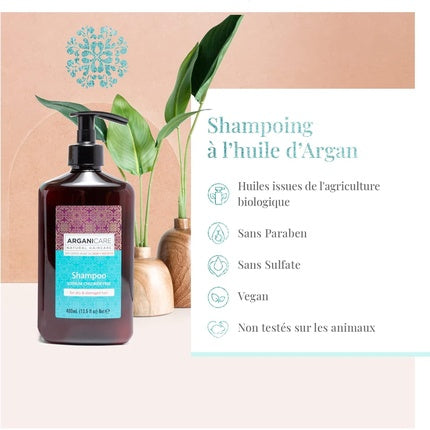 Șampon, Arganicare, 400ml, păr uscat și degradat