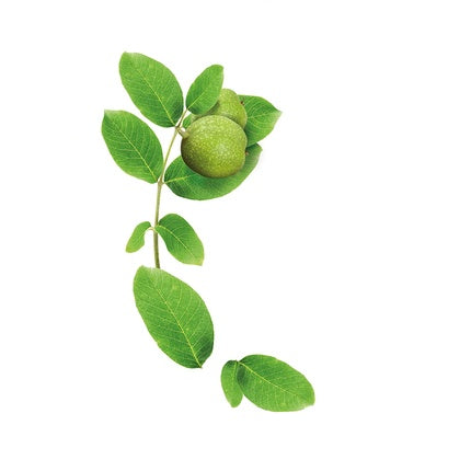 Șampon, Kéranove, Naturanove Bio, nucă, 250ml