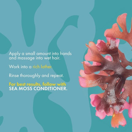 Șampon anti-cădere, Mielle Organics, Sea Moss, 280g