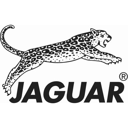 Foarfece Coafor Jaguar, Silver Line CJ4 Plus, Oțel Inoxidabil, Argintiu