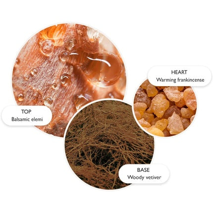 Cremă de mâini, Molton Brown, Festive Frankincense & Allspice, albă