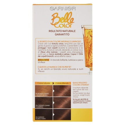 Vopsea de păr, Garnier Belle Color, blond închis natural