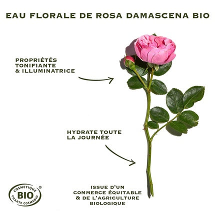 Cremă Față, Sanoflore, Rosa Angelica, 30ml