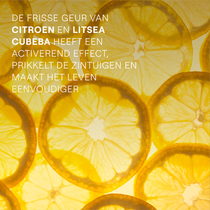 Cremă de duș Weleda Refresh Citrus 400ml