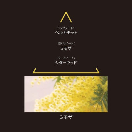 Parfum, Le Couvent Maison De Parfum, Mimosa, 100ml
