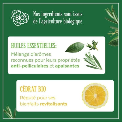 Șampon Antidandruff, Le Petit Marseillais, Infuzie cu Uleiuri Esențiale, 280 g