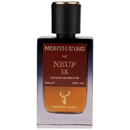 Paris Corner Neuf IX, Eau de Parfum pentru bărbați, 100 ml, sticlă transparentă cu lichid ambru