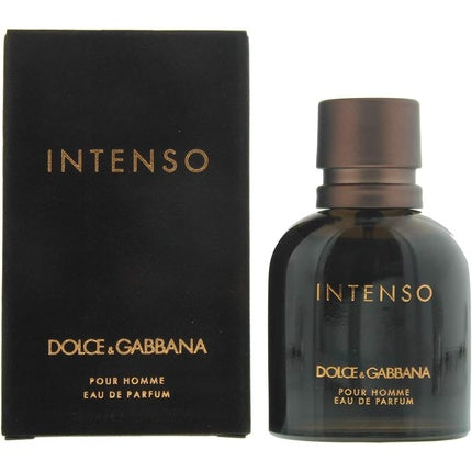 Parfum Dolce & Gabbana Intenso 40ml Eau de Parfum