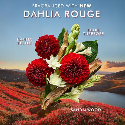 Săpun lichid pentru mâini Moroccanoil Dahlia Rouge 360 ml
