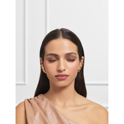 Fard de pleoape, L'Oréal Paris, baton, maro lucios