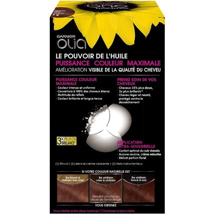Vopsea de păr Garnier Olia, Chestnut, fără amoniac, 270 g