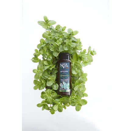 Șampon Natur Vital, mătreață grasă, 300ml