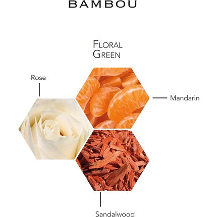 Parfum Weib, Bambou, flacon transparent-verde 100 ml