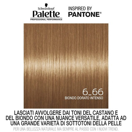 Vopsea de par, Schwarzkopf, Palette, 6-66 Blond Auriu