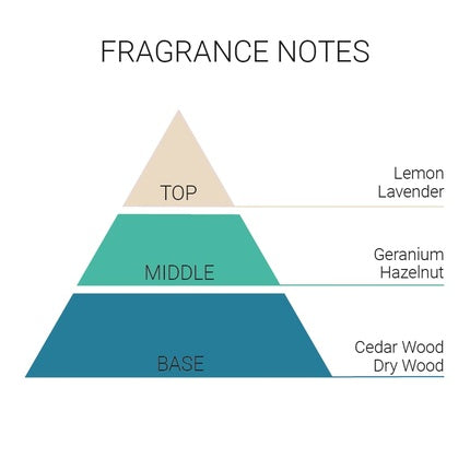 Eau De Toilette, Bi Es, Cyberman, argintiu