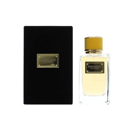 Parfum Dolce & Gabbana Velvet Ginestra EDP Spray 5oz