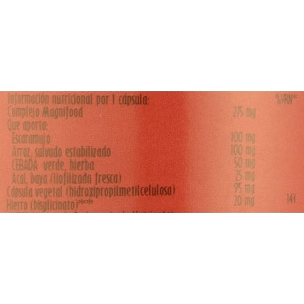 Complex Vitamina, Terranova, Easy Iron, 100 Capsule Vegane, Maro