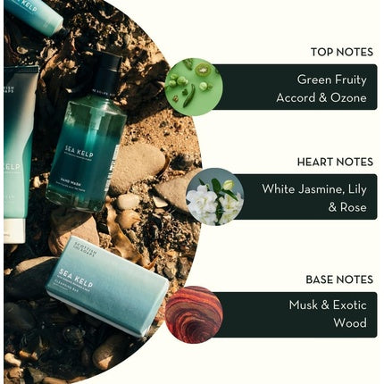 Spălător de Mâini Sea Kelp Refill 750ml - Scottish Fine Soaps