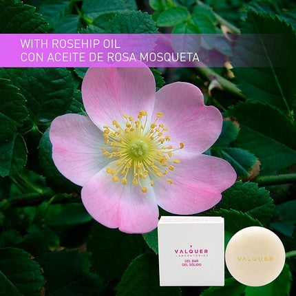 Gel solid corp, Valquer Laboratorios, trandafir sălbatic, 50g