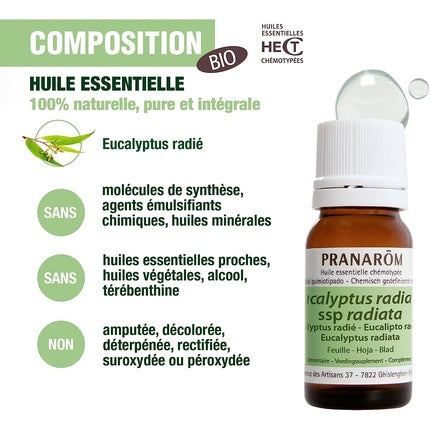 Ulei esențial, Esen, Eucalyptus Radiata, 10ml