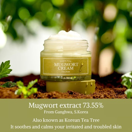 Cremă facială I'M From Mugwort 70ml
